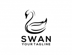 SWAN