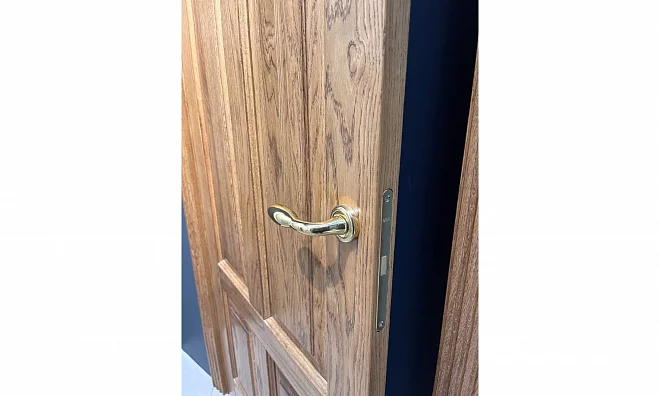 Дверь Астродорс Софи СОФИ